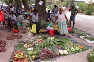 Ghizo Market